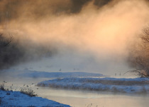 Japan Birding with Nature Travel Birding