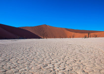 Southern Namibia Birding Adventure - November 2026