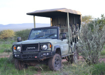 Southern Namibia Birding Adventure - November 2026