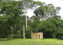 Shimba Hills National Reserve