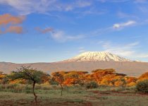 3 Day-Amboseli-National-Park-birding