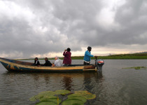 Uganda Budget Birding tour