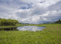 Rugezi Marsh Wetland Quest with Roger Irakoze
