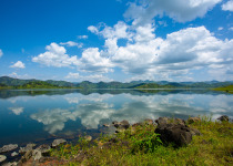 Twin Lakes Birding Discovery with Roger Irakoze