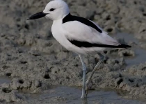 photo-3.webp