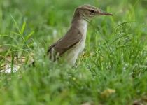photo-2.webp