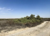 photo-7.webp