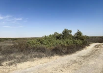 photo-8.webp
