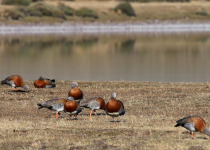 Torres del Paine & the Southern Peaks