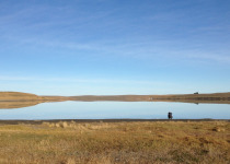 Birding Patagonian Steppe
