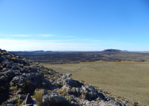 Birding Patagonian Steppe