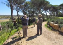 Ria Formosa birding landscape. Photo: A ROCHA Life