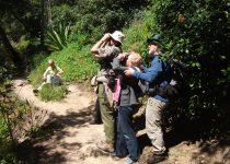 Monchique birding landscape. Photo: A ROCHA Life