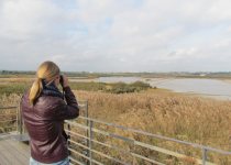 Lagoa dos Salgados birding landscape. Photo: A ROCHA Life