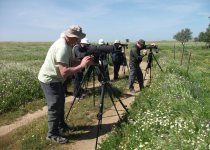 Castro Verde birding landscape. Photo: A ROCHA Life