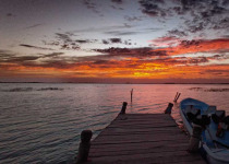 Custom Multi-Day Yucatan Peninsula Birding Tour