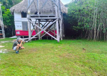 Custom Multi-Day Yucatan Peninsula Birding Tour