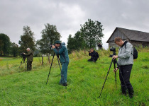 European Birdwatch Weekend in Estonia