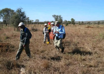 Custom Kruger Birding and Wildlife Safari with Lucas Namanyane