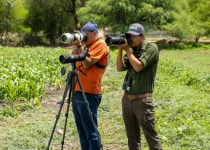 Querétaro City Express Birding Tour