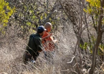 Querétaro City Express Birding Tour