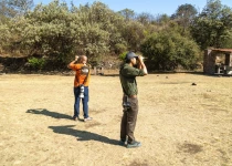 Querétaro City Express Birding Tour