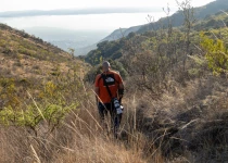Querétaro City Express Birding Tour
