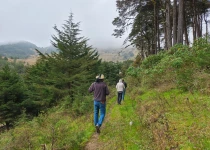 Sierra Gorda Birding and Missions – 8 Days