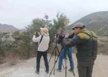 Sierra Gorda Birding and Missions – 8 Days