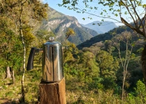 Sierra Gorda Birding and Missions – 8 Days