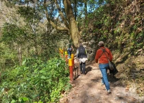 Sierra Gorda Birding and Missions – 8 Days