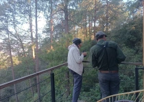 Sierra Gorda Birding and Missions – 8 Days