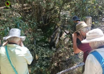 Sierra Gorda Birding and Missions – 8 Days