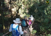 Sierra Gorda Birding and Missions – 8 Days