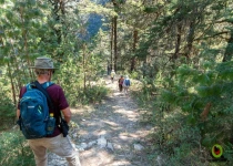 Sierra Gorda Birding and Missions – 8 Days