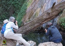 Sierra Gorda Birding and Missions – 8 Days