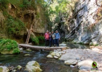 Sierra Gorda Birding and Missions – 8 Days