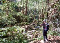 Sierra Gorda Birding and Missions – 8 Days