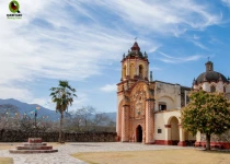Sierra Gorda Birding and Missions – 8 Days