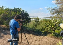 Querétaro and San Juan del Río Endemic Bird Photography