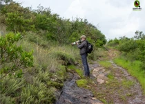 Querétaro and San Juan del Río Endemic Bird Photography