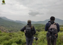 Querétaro and San Juan del Río Endemic Bird Photography