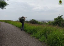 Querétaro and San Juan del Río Endemic Bird Photography