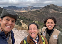 Querétaro Oak Forest Birding Tour