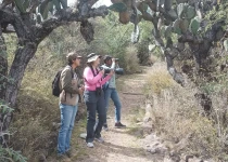San Miguel de Allende and El Charco Birding Tour