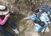 San Miguel de Allende and El Charco Birding Tour