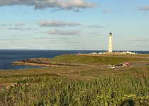 Short Bespoke Birding Tour near Aberdeen