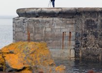 Short Bespoke Birding Tour near Aberdeen