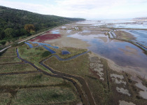 Sečovlje Salina Expert Birdwatching Tour with Iztok Škornik