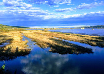 Sečovlje Salina Expert Birdwatching Tour with Iztok Škornik
